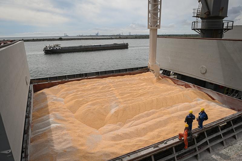 La reducción del transporte de grano ucraniano por el puerto de Constanza en enero