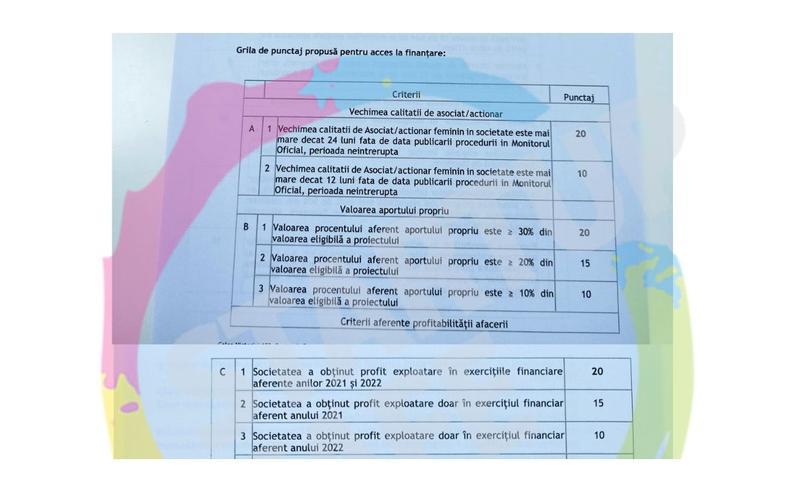 Finanțări „Femeia Antreprenor” 2024: Grila de punctaj revizuită elimină criteriile restrictive privind incubatoarele de afaceri și brevetele. Înscrierile pentru granturile de 200.000 lei încep în curând.