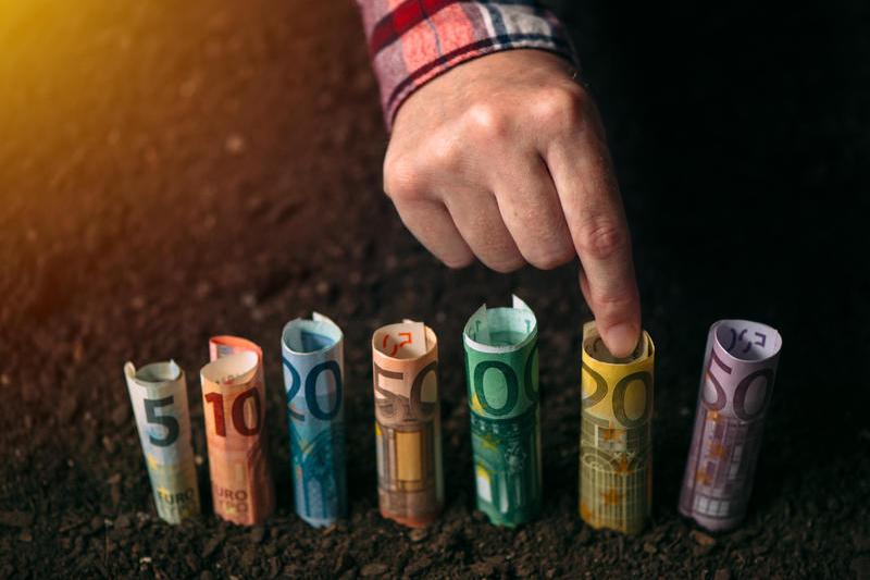 UE extinde până la sfârșitul anului 2024 posibilitatea pentru statele membre de a oferi ajutoare suplimentare agricultorilor europeni, în cadrul „mecanismului temporar pentru Ucraina”