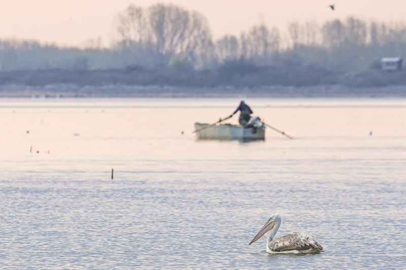 Îți place să pescuiești? Iată care sunt reglementările legale și sancțiunile aplicabile