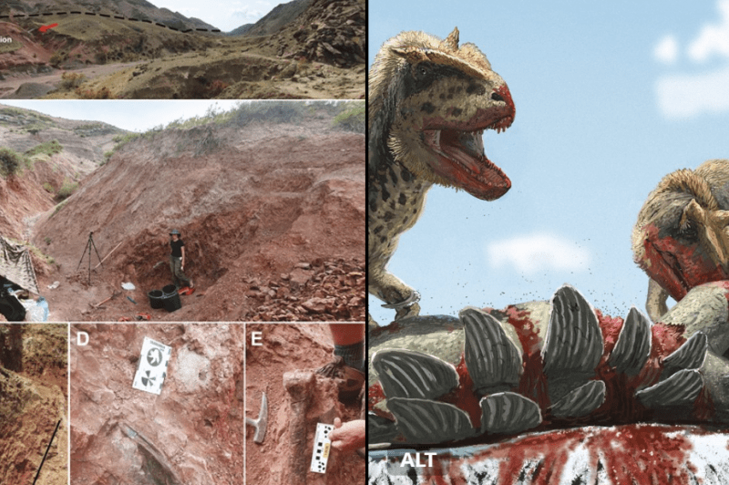 Descoperirea unei noi specii de dinozaur în Kârgâzstan, rezultatul a 17 ani de excavări