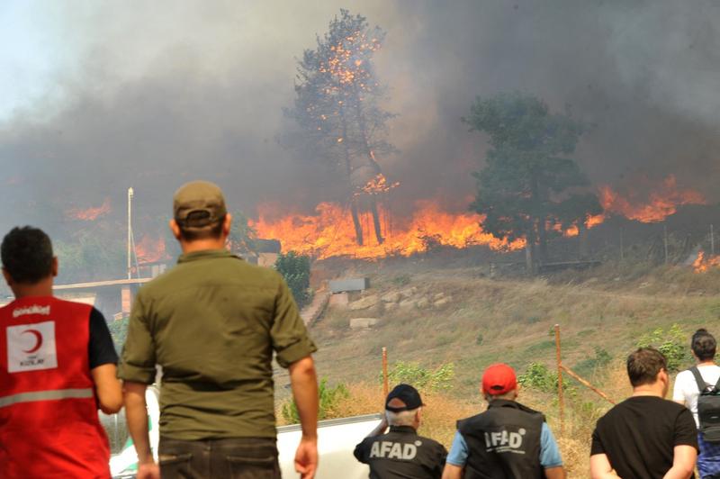 Rețelele de crime organizată din Italia utilizează incendiile de vegetație ca strategie, conform unui studiu recent.