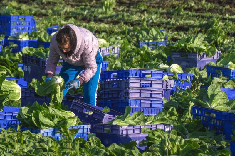 INTERVIU: Motivele românilor pentru emigrare și influența lor asupra votului. Analiza cercetătoarei Sorina Soare despre impactul granturilor Guvernului și perspectiva AUR sub conducerea lui George Simion