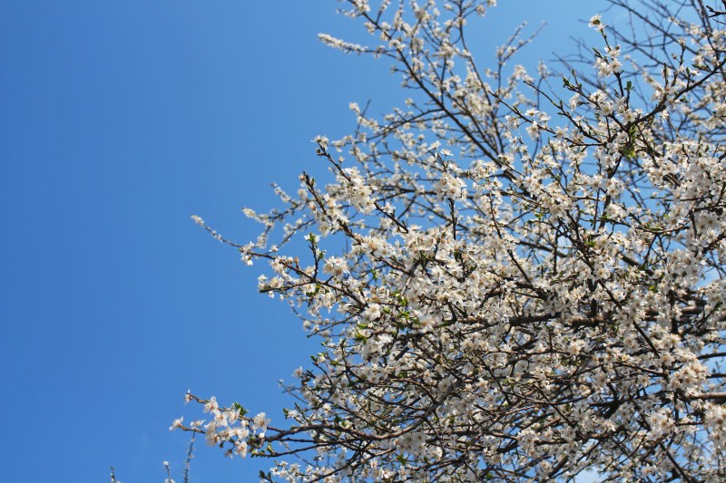 Temperaturi de până la 24 de grade în zilele următoare, conform prognozelor meteo. Zonele afectate de ploi