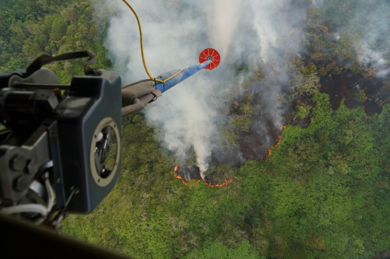 VIDEO Incendii de vegetație în peste 20 de localități din România. Sute de hectare afectate