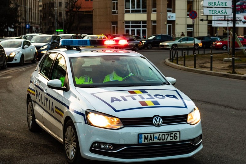Bărbat din Tulcea, reținut după ce a intrat în curtea unei femei și a ucis doi câini cu bâta