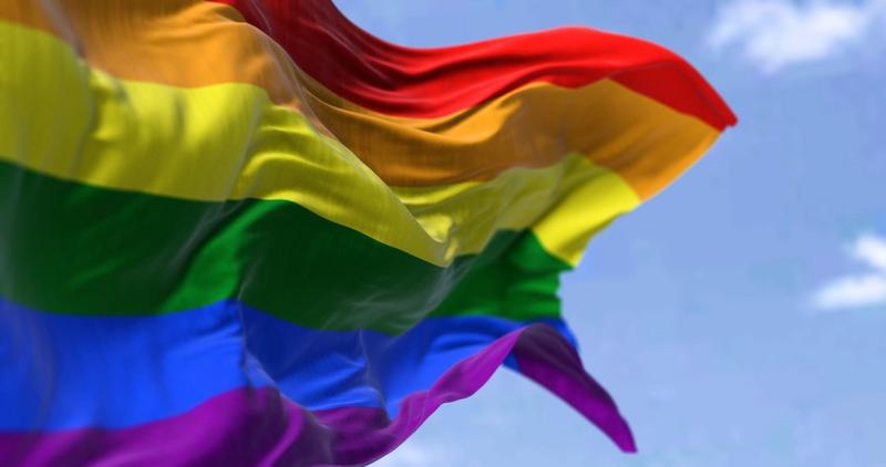 17 țări din UE acuză Ungaria de încălcarea drepturilor LGBTQ