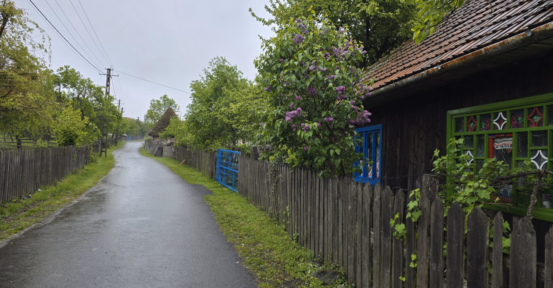 Alegeri prezidențiale, turul 2: Votul în cea mai mică comună din țară, unde pâinea ajunge după 23 km prin pădure: „Să faci pe voie la fiecare nu se poate”