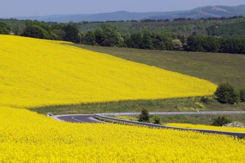 Anunț din partea ministrului agriculturii: contractul pentru canalul Siret – Bărăgan va fi semnat în cel mult o săptămână