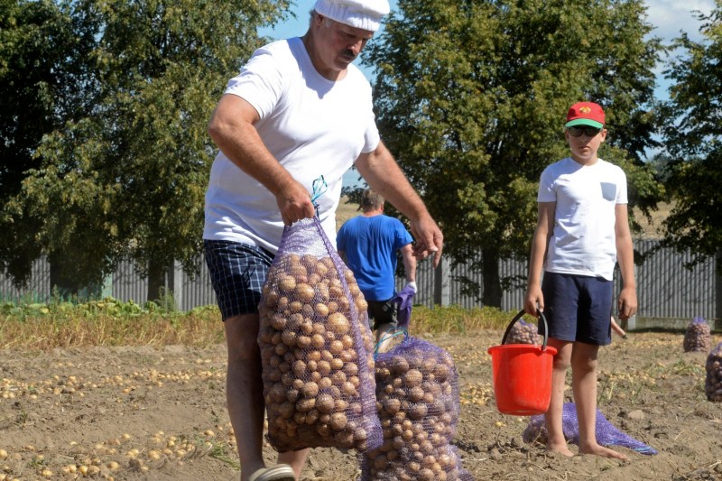 Cartofi pentru Rusia: Apelul lui Lukașenko către fermieri pentru a sprijini „frații noștri”
