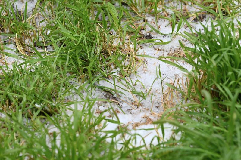 Comitet de urgență la Ministerul Mediului din cauza avertizărilor meteo: Precipitații semnificative și risc de viituri pe râuri / Declarații de la Ministerul Agriculturii privind sistemul antigrindină