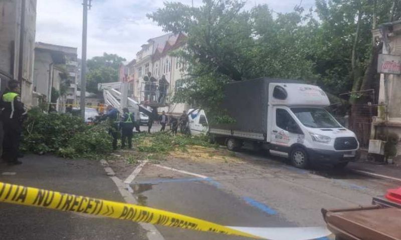 Copac prăbușit peste patru vehicule parcate în București, cu avarii la o conductă de gaze