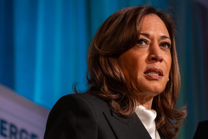 „Curajul este contagios”. Kamala Harris l-a acuzat pe Trump de haos și frică intenționate în primul său discurs major din mandatul său de președinte