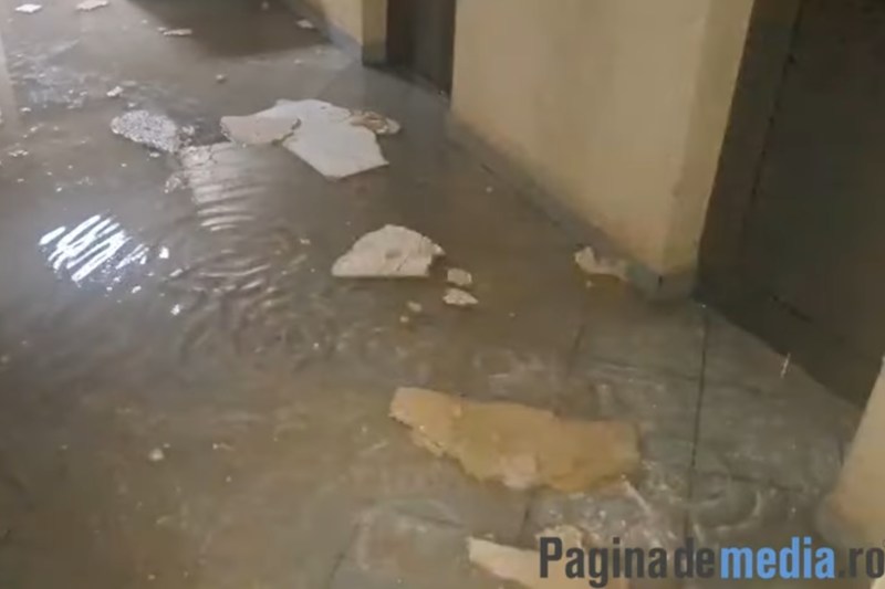 IMAGINI Potopul lui Noe într-o instituție publică din România