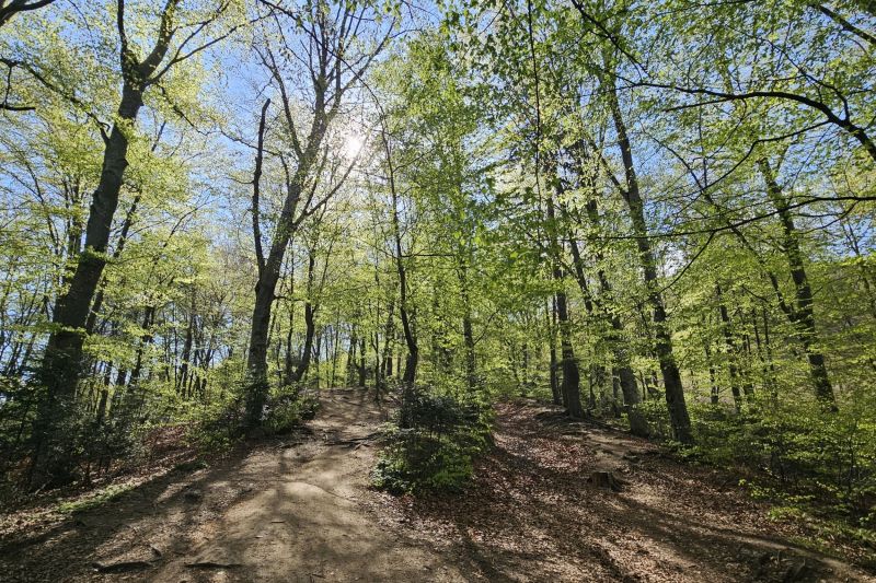În luna aprilie au fost doborâte recorduri meteorologice de frig în România, unele datând din 1949