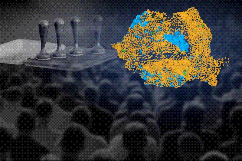 INTERACTIV: Analiza voturilor din turul 1 în relație cu venituri impozitate, oportunitățile de angajare și fondurile europene accesate. O privire asupra diferențelor între victorii lui Simon și cele ale lui Nicușor Dan.