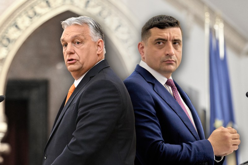 INTERVIU Răbufnirea campaniei pentru prezidențialele din România la Budapesta: „Consider că a fost o eroare enormă”