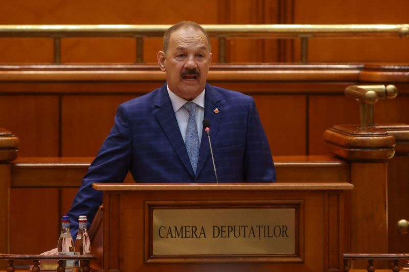„Liniștiți-vă să nu vă mai pierdeți respirația din nou” – mesaje text de la președintele POT Anamaria Gavrilă către un deputat / A demisionat
