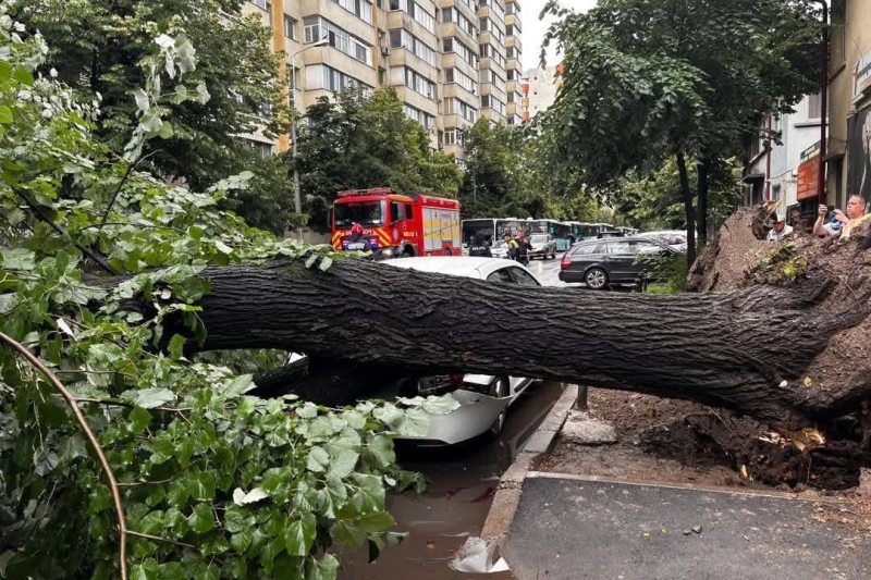Primarul Sectorului 2 acuză Primăria Generală, în urma incidentului cu copacul căzut pe o mașină în București: „Mă revoltă!”