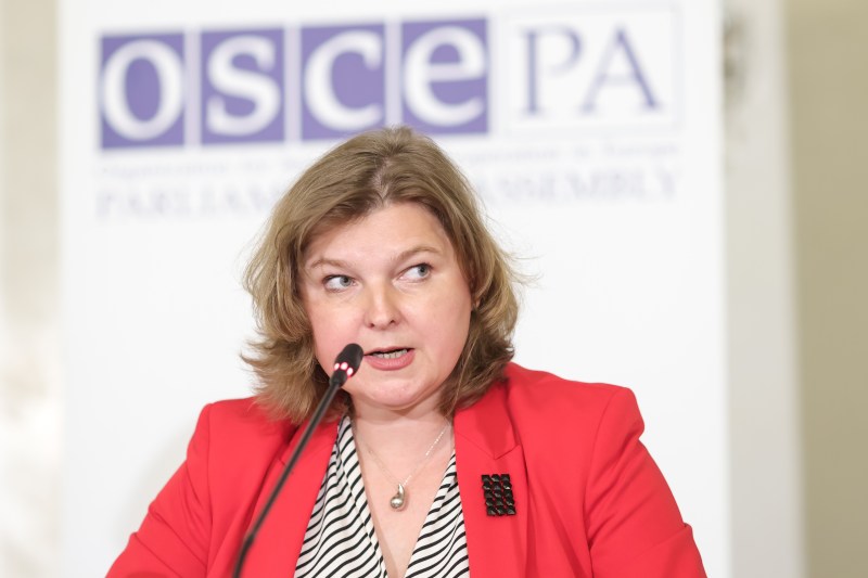 Raportul OSCE privind alegerile din România: „Ziua alegerilor gestionată profesionist, dar transparența a fost insuficientă”