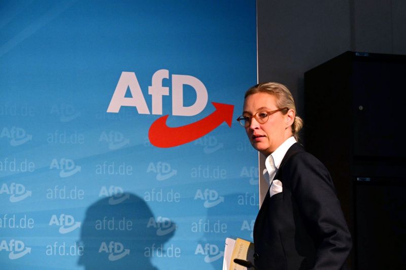 Serviciul german de informații interne suspendă clasificarea AfD ca organizație „extremistă de dreapta”