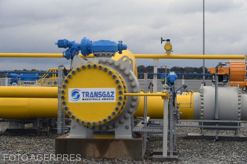 Transgaz devine acționar majoritar la Petrostar/Noutăți despre deținerea firmei prahovene