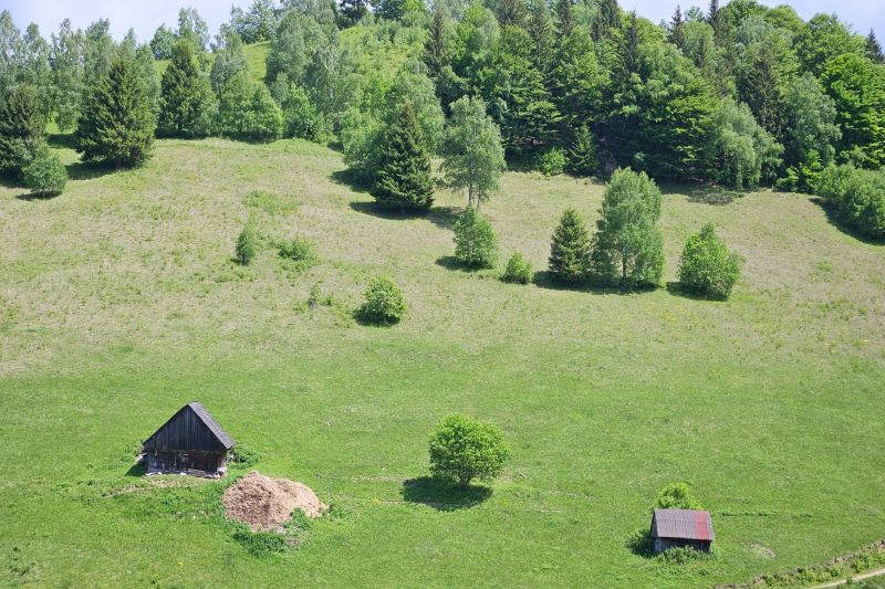 Un fenomen meteorologic tot mai frecvent în România. Cum vor arăta anotimpurile în viitor