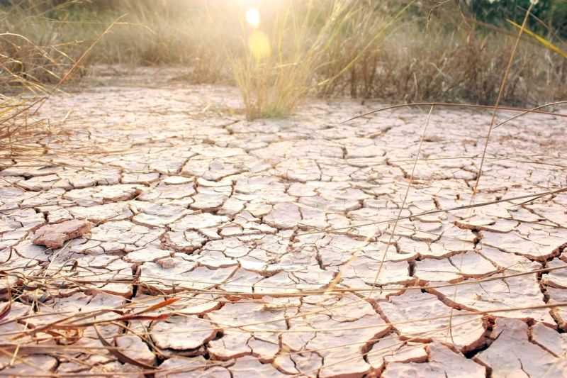 Un studiu recent a descoperit metode de a combate indiferența față de schimbările climatice