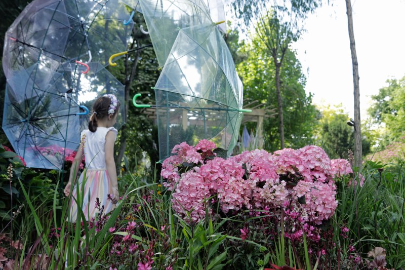 Weekend-ul 31 mai – 1 iunie în București: evenimente de Ziua Copilului, cel mai mare festival al florilor, Femei pe Mătăsari și concerte cu Ada Milea