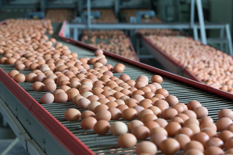 Antreprenor român de succes, renumit exportator de ouă, explică motivul pentru care nu-și va vinde afacerea. „Nu poți cheltui 20 de milioane de euro. Poți să-i risipesti, dar nu să-i cheltui”