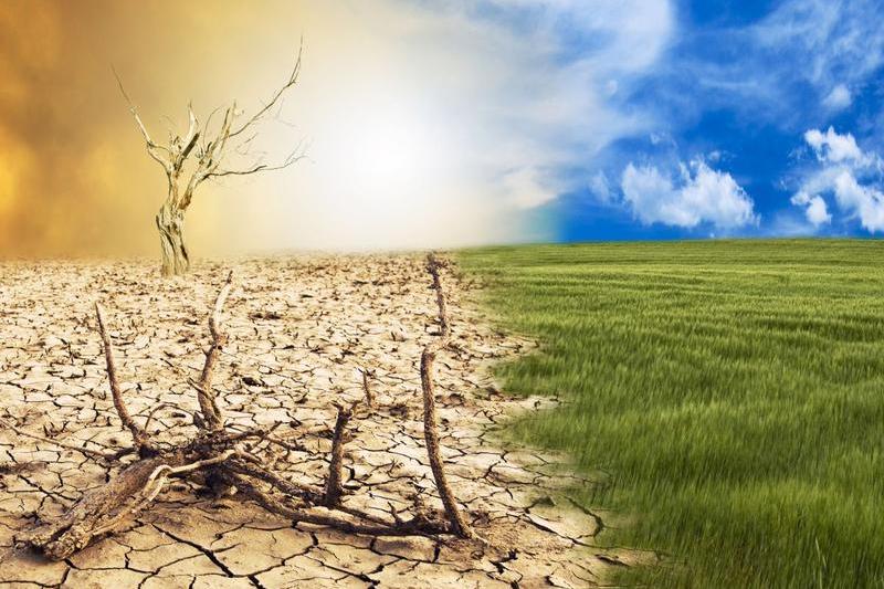 După o lună rece, au reapărut criticile la adresa schimbărilor climatice. „Vremea nu este aceeași cu clima”