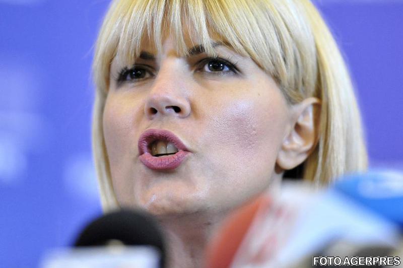 Elena Udrea, operată de urgență la scurt timp după internație. Fostul ministru se află în secția de terapie intensivă.