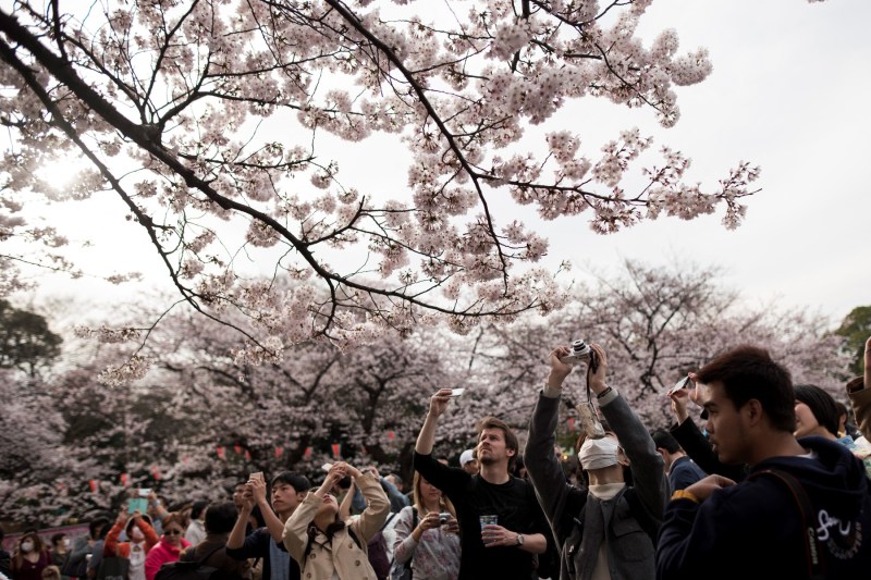 Japonia planifică o reformă semnificativă pentru turiști