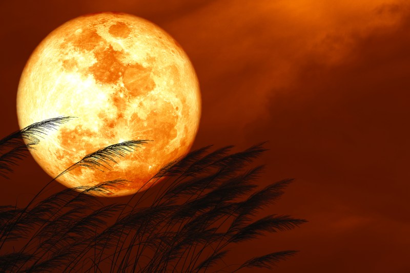 „Luna Căpșună” va străluci pe cerul serii. Când poți observa acest fenomen astronomic deosebit
