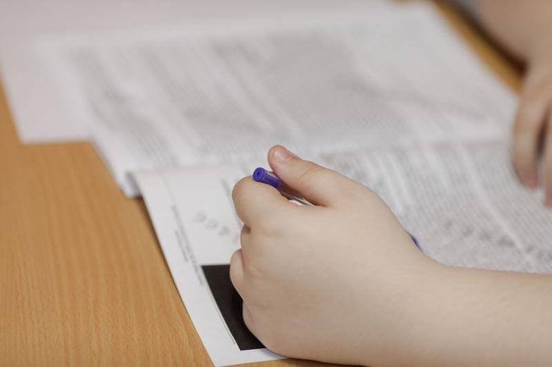 Modele de subiecte pentru Bacalaureat 2025 la matematică. Variante de subiecte pentru elevii de la mate-info, științe ale naturii și tehnologic