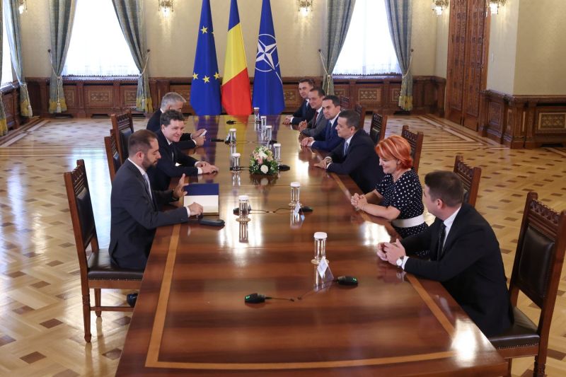 Participanții PSD la negocierile de la Cotroceni: Trei figuri mai puțin cunoscute