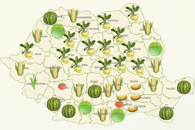 România ca o salată. Cum fiecare județ al țării este reprezentat prin culturile agricole - HARTĂ