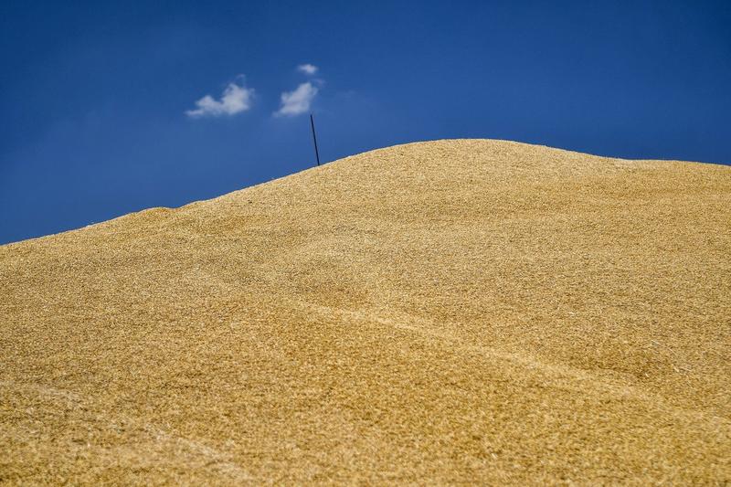 UE și Ucraina au semnat un nou acord pentru importurile de produse agricole / Cote pentru produse sensibile
