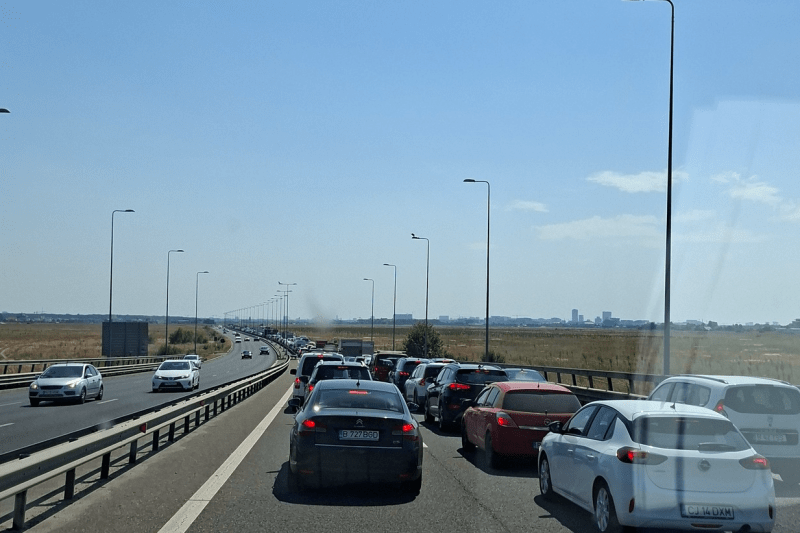 Aglomerație pe A3 lângă Voluntari: Traficul blocat din cauza unor bovine