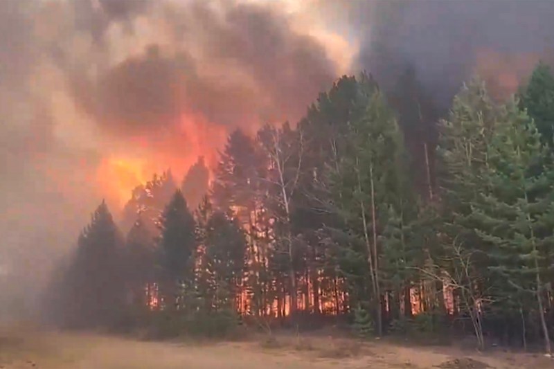 Autoritățile ruse reclamă incendierea pădurilor din Siberia de către tineri agenți recrutați de Ucraina, conform FSB. Doi adolescenți reținuți