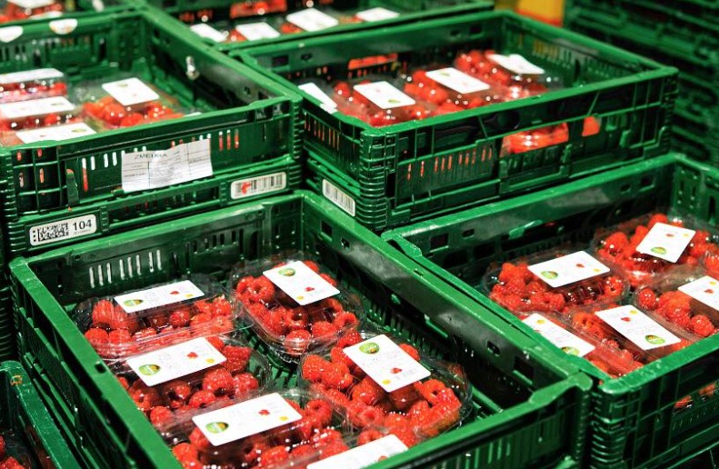 Corupția în sectorul privat: Mită oferităManagerilor de calitate ai marilor retaileri din România pentru a facilita intrarea mărfii. Suma percepută pentru fiecare palet de fructe sau legume