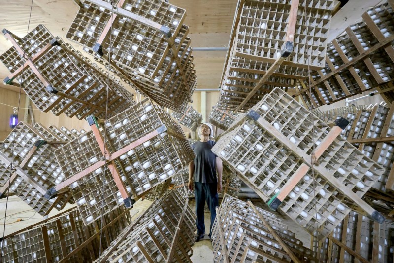 Cum producția de viermi de mătase japonezi a revitalizat economia niponă și a transformat-o în lider mondial în diverse domenii