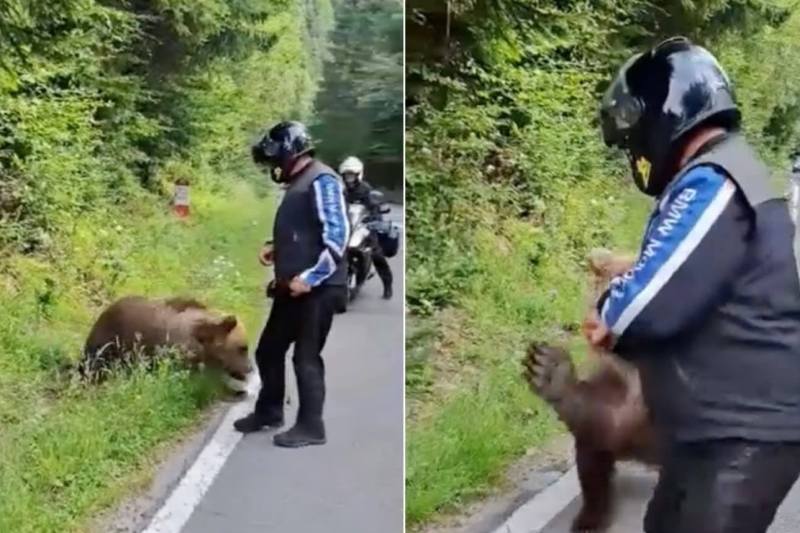 FOTO Ultima imagine surprinsă de motociclistul decedat în atacul unei ursoaice pe Transfăgărășan: „S-a dat jos și a oferit hrană ursului”