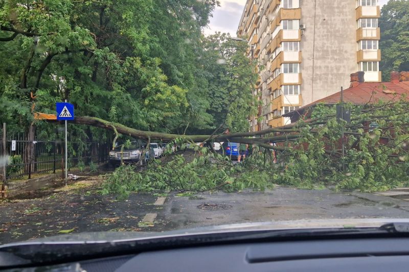 FOTO/VIDEO Furtuna a devastat Bucureștiul. Imagini cu zeci de copaci doborâți
