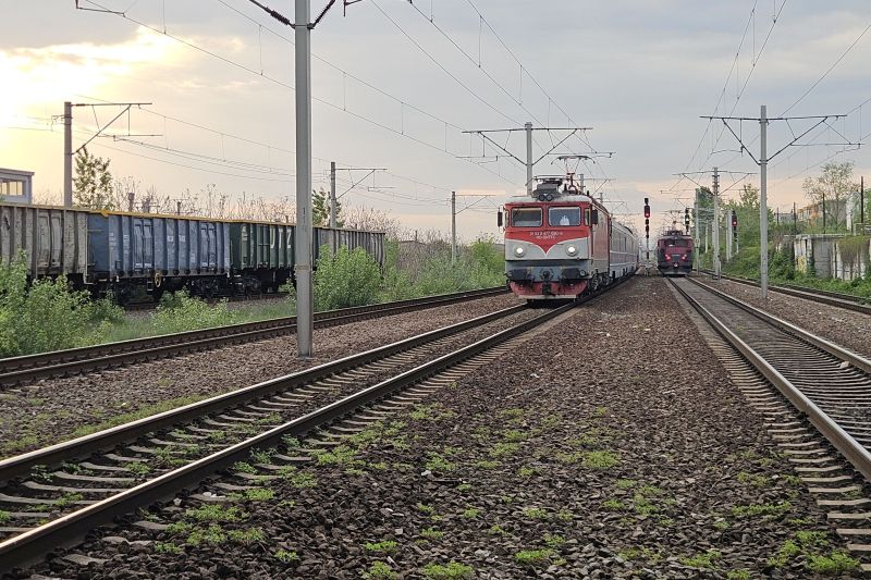 Întârzieri de peste șapte ore pe trenuri, cauzate de căderi de copaci în Mureș, Covasna și Harghita