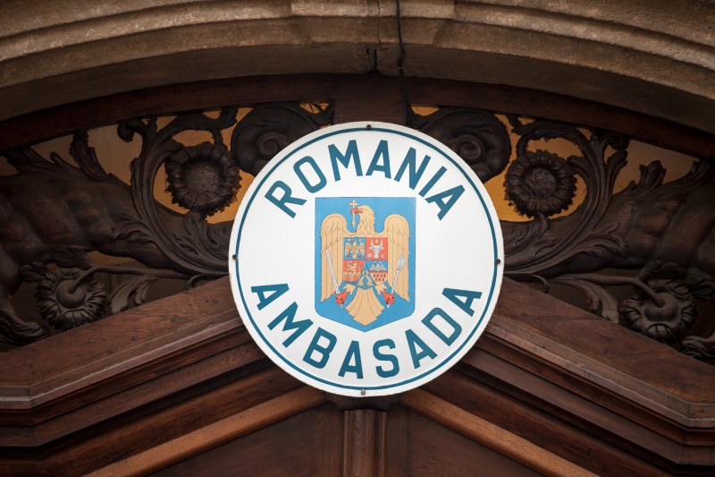 Oportunități de afaceri dezvăluite pe site-urile ambasadelor României: de la servicii de implant de păr la Vaslui la tratamente naturiste
