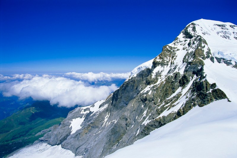 Un chihuahua, erou al Alpinilor: salvare spectaculoasă dintr-o prăpastie de 8 metri