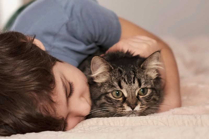 Cauzele comune ale toxoplasmozei, infecția ce poate provoca complicații severe la copii