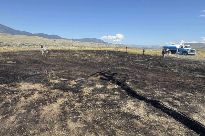 FOTO Un pește scăpat din ghearele unui vultur declanșează un incendiu și o pană de curent