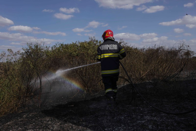 Incendii de vegetație răspândite în mai multe localități din Prahova; peste 100 de hectare afectate.